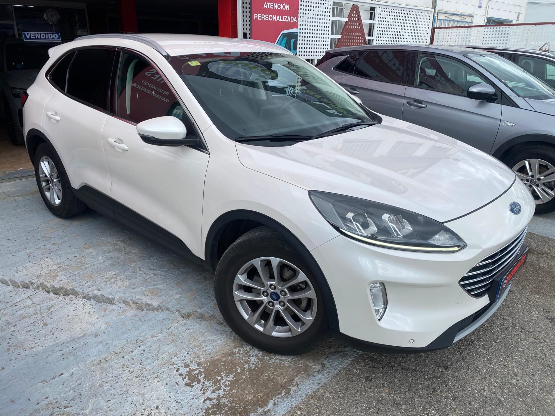 FORD Kuga STLINE AUTO ECOBLUE 1.5